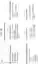 Fig. 08 - Efficient semantic analysis of program code