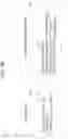 Fig. 09 - Efficient semantic analysis of program code