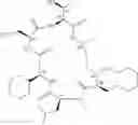 Fig. 294 - CYCLIC PEPTIDE ANTIBIOTICS