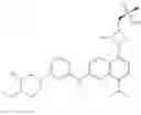 Fig. 320 - EGFR inhibitors