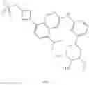 Fig. 366 - EGFR inhibitors