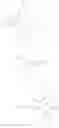 Fig. 239 - EP300/CBP INHIBITOR