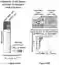 Fig. 22 - Systems and Methods for Deconvoluting Tumor Ecosystems for Personalized Cancer Therapy