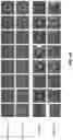 Fig. 47 - Systems, devices, and methods related to the individualized calibration and/or manufacturing of medical devices