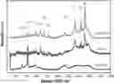 Fig. 01 - Solar light antibactertal agent