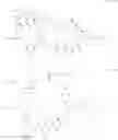 Fig. 167 - CD38-BINDING AGENTS AND USES THEREOF