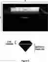 Fig. 09 - DETERMINATION OF A GEMSTONE'S COMPOSITION