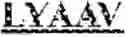 Fig. 04 - NUCLEIC ACID ENCODING LILRB1-BASED CHIMERIC ANTIGEN RECEPTOR