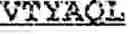 Fig. 13 - NUCLEIC ACID ENCODING LILRB1-BASED CHIMERIC ANTIGEN RECEPTOR