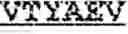 Fig. 22 - NUCLEIC ACID ENCODING LILRB1-BASED CHIMERIC ANTIGEN RECEPTOR