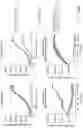 Fig. 34 - NUCLEIC ACID ENCODING LILRB1-BASED CHIMERIC ANTIGEN RECEPTOR