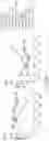 Fig. 47 - NUCLEIC ACID ENCODING LILRB1-BASED CHIMERIC ANTIGEN RECEPTOR