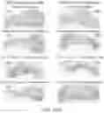Fig. 48 - NUCLEIC ACID ENCODING LILRB1-BASED CHIMERIC ANTIGEN RECEPTOR