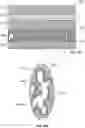 Fig. 09 - Hybrid solid-state cell with a sealed anode structure