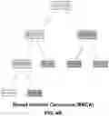 Fig. 06 - CLASSIFYING TUMORS USING BOTH GENETICS AND COLLAGEN EXPRESSION TO IMPROVE DRUG TARGETING