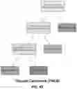 Fig. 28 - CLASSIFYING TUMORS USING BOTH GENETICS AND COLLAGEN EXPRESSION TO IMPROVE DRUG TARGETING