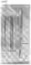Fig. 02 - USE OF PROTEINS IN 3D PRINTING