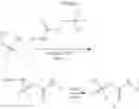 Fig. 2425 - COMPOUNDS AND COMPOSITIONS FOR TREATING CONDITIONS ASSOCIATED WITH NLRP ACTIVITY