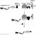 Fig. 01 - COMPOSITIONS AND METHODS FOR THE CYTOPLASMIC DELIVERY OF ANTIBODIES AND OTHER PROTEINS