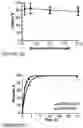 Fig. 04 - COMPOSITIONS AND METHODS FOR THE CYTOPLASMIC DELIVERY OF ANTIBODIES AND OTHER PROTEINS