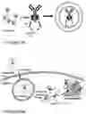 Fig. 05 - COMPOSITIONS AND METHODS FOR THE CYTOPLASMIC DELIVERY OF ANTIBODIES AND OTHER PROTEINS