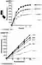 Fig. 06 - COMPOSITIONS AND METHODS FOR THE CYTOPLASMIC DELIVERY OF ANTIBODIES AND OTHER PROTEINS