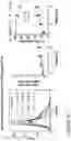 Fig. 13 - COMPOSITIONS AND METHODS FOR THE CYTOPLASMIC DELIVERY OF ANTIBODIES AND OTHER PROTEINS