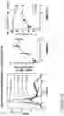 Fig. 17 - COMPOSITIONS AND METHODS FOR THE CYTOPLASMIC DELIVERY OF ANTIBODIES AND OTHER PROTEINS