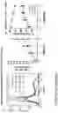 Fig. 20 - COMPOSITIONS AND METHODS FOR THE CYTOPLASMIC DELIVERY OF ANTIBODIES AND OTHER PROTEINS