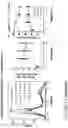 Fig. 22 - COMPOSITIONS AND METHODS FOR THE CYTOPLASMIC DELIVERY OF ANTIBODIES AND OTHER PROTEINS