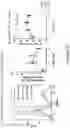 Fig. 40 - COMPOSITIONS AND METHODS FOR THE CYTOPLASMIC DELIVERY OF ANTIBODIES AND OTHER PROTEINS