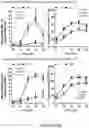 Fig. 42 - COMPOSITIONS AND METHODS FOR THE CYTOPLASMIC DELIVERY OF ANTIBODIES AND OTHER PROTEINS