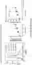 Fig. 44 - COMPOSITIONS AND METHODS FOR THE CYTOPLASMIC DELIVERY OF ANTIBODIES AND OTHER PROTEINS