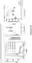 Fig. 47 - COMPOSITIONS AND METHODS FOR THE CYTOPLASMIC DELIVERY OF ANTIBODIES AND OTHER PROTEINS