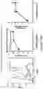 Fig. 57 - COMPOSITIONS AND METHODS FOR THE CYTOPLASMIC DELIVERY OF ANTIBODIES AND OTHER PROTEINS