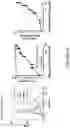 Fig. 74 - COMPOSITIONS AND METHODS FOR THE CYTOPLASMIC DELIVERY OF ANTIBODIES AND OTHER PROTEINS