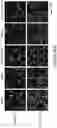 Fig. 77 - COMPOSITIONS AND METHODS FOR THE CYTOPLASMIC DELIVERY OF ANTIBODIES AND OTHER PROTEINS