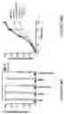 Fig. 78 - COMPOSITIONS AND METHODS FOR THE CYTOPLASMIC DELIVERY OF ANTIBODIES AND OTHER PROTEINS