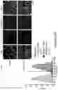 Fig. 80 - COMPOSITIONS AND METHODS FOR THE CYTOPLASMIC DELIVERY OF ANTIBODIES AND OTHER PROTEINS