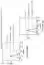 Fig. 85 - COMPOSITIONS AND METHODS FOR THE CYTOPLASMIC DELIVERY OF ANTIBODIES AND OTHER PROTEINS