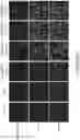 Fig. 90 - COMPOSITIONS AND METHODS FOR THE CYTOPLASMIC DELIVERY OF ANTIBODIES AND OTHER PROTEINS