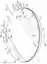 Fig. 05 - FULL-DUPLEX IPG SYSTEM AND ELECTRO-OPTICAL PERCUTANEOUS LEAD
