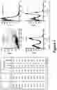 Fig. 02 - CD19 BINDING AGENTS AND USES THEREOF