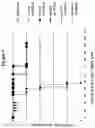 Fig. 10 - CD19 BINDING AGENTS AND USES THEREOF