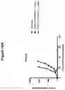 Fig. 17 - CD19 BINDING AGENTS AND USES THEREOF