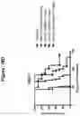 Fig. 20 - CD19 BINDING AGENTS AND USES THEREOF
