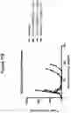 Fig. 22 - CD19 BINDING AGENTS AND USES THEREOF