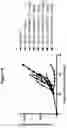 Fig. 27 - CD19 BINDING AGENTS AND USES THEREOF