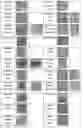 Fig. 04 - MULTI-FUNCTIONAL HYBRID MATERIAL BASED ON NATURAL CLAYS FOR ENVIRONMENTAL RECOVERY AND BIO-REMEDIATION