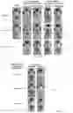Fig. 07 - MULTI-FUNCTIONAL HYBRID MATERIAL BASED ON NATURAL CLAYS FOR ENVIRONMENTAL RECOVERY AND BIO-REMEDIATION